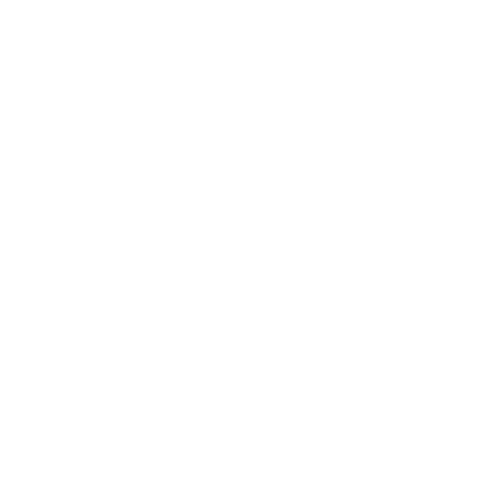 Chat bubble icon inside shield – translation and interpretation symbol